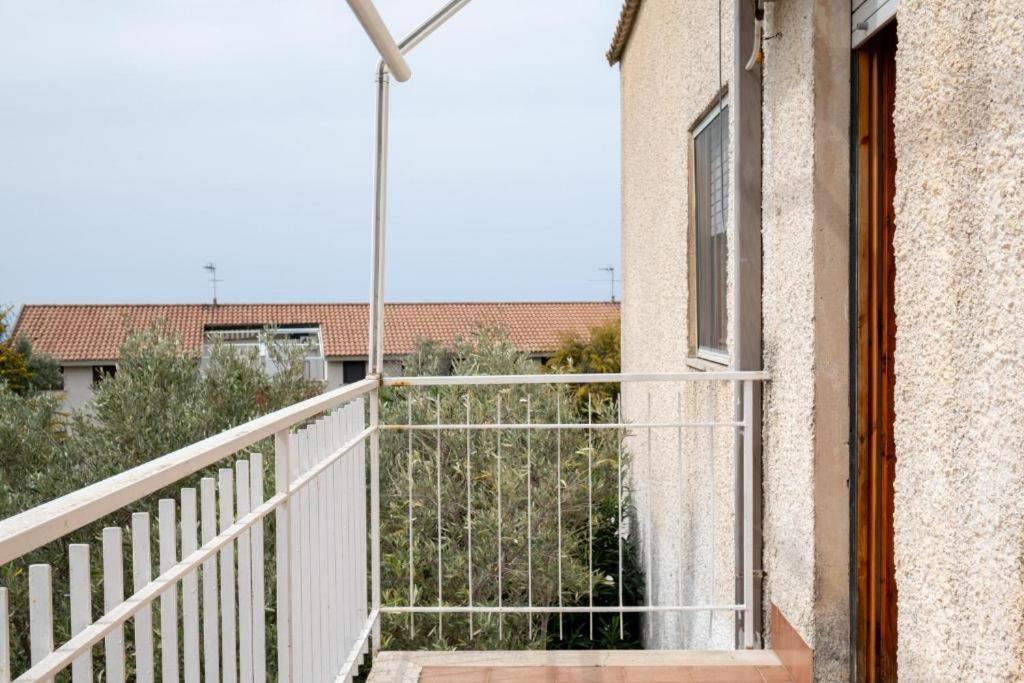 Residence La Giungla Falerna Exteriér fotografie